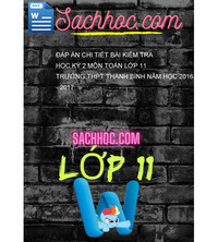 Tải Đáp án chi tiết bài kiểm tra học kỳ 2 môn toán lớp 11 trường THPT Thanh bình năm học 2016 - 2017