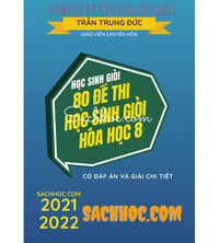 Tải 80 Đề Thi Học Sinh Giỏi Hóa lớp 8 mới nhất