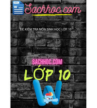 Tải Đề kiểm tra môn sinh học lớp 10