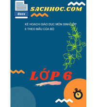 Tải Kế Hoạch Giáo Dục Môn Sinh Lớp 6 Theo Mẫu Của Bộ
