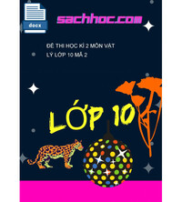 Tải Đề thi học kì 2 môn Vật lý lớp 10 mã 2