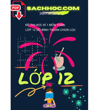 Tải Đề thi học kì 1 môn Toán lớp 12 sở Bình Thuận chọn lọc