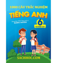 Tải 1000 + câu trắc nghiệm tiếng anh 6 Global Success (Có đáp án)
