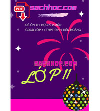 Tải Đề ôn thi học kì 2 môn GDCD lớp 11 THPT Đinh Tiên Hoàng