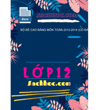 Tải Bộ Đề Cao Đẳng Môn Toán 2010-2014 (Có Đáp Án)