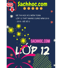 Tải Đề thi học kì 2 môn Toán lớp 12 THPT Marie Curie năm 2018 - 2019 - Đề số 2