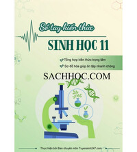 Tải Sổ tay kiến thức Sinh học 11