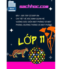 Tải Bài 1. Bài tập có đáp án chi tiết về xác định quan hệ vuông góc giữa mặt phẳng và mặt phẳng, đường thẳng và mặt phẳng