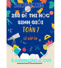 Tải 250 đề thi bồi dưỡng học sinh giỏi toán 7 (có đáp án)