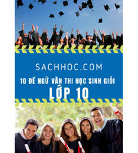 Tải 10 đề Ngữ Văn thi Học Sinh Giỏi Lớp 10