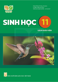Tải Sinh học 11 - Sách giáo viên