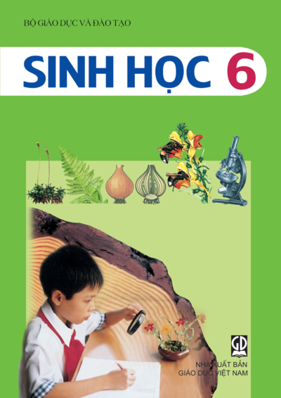 Tải Sinh học 6