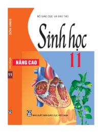 Tải Sinh học 11 - Nâng cao