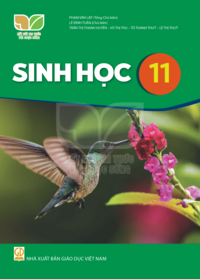 Tải Sinh học 11